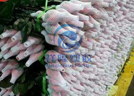 100% Recyclable EPE Foam Net Packing For Fruits Vegetables Flower And Bottle